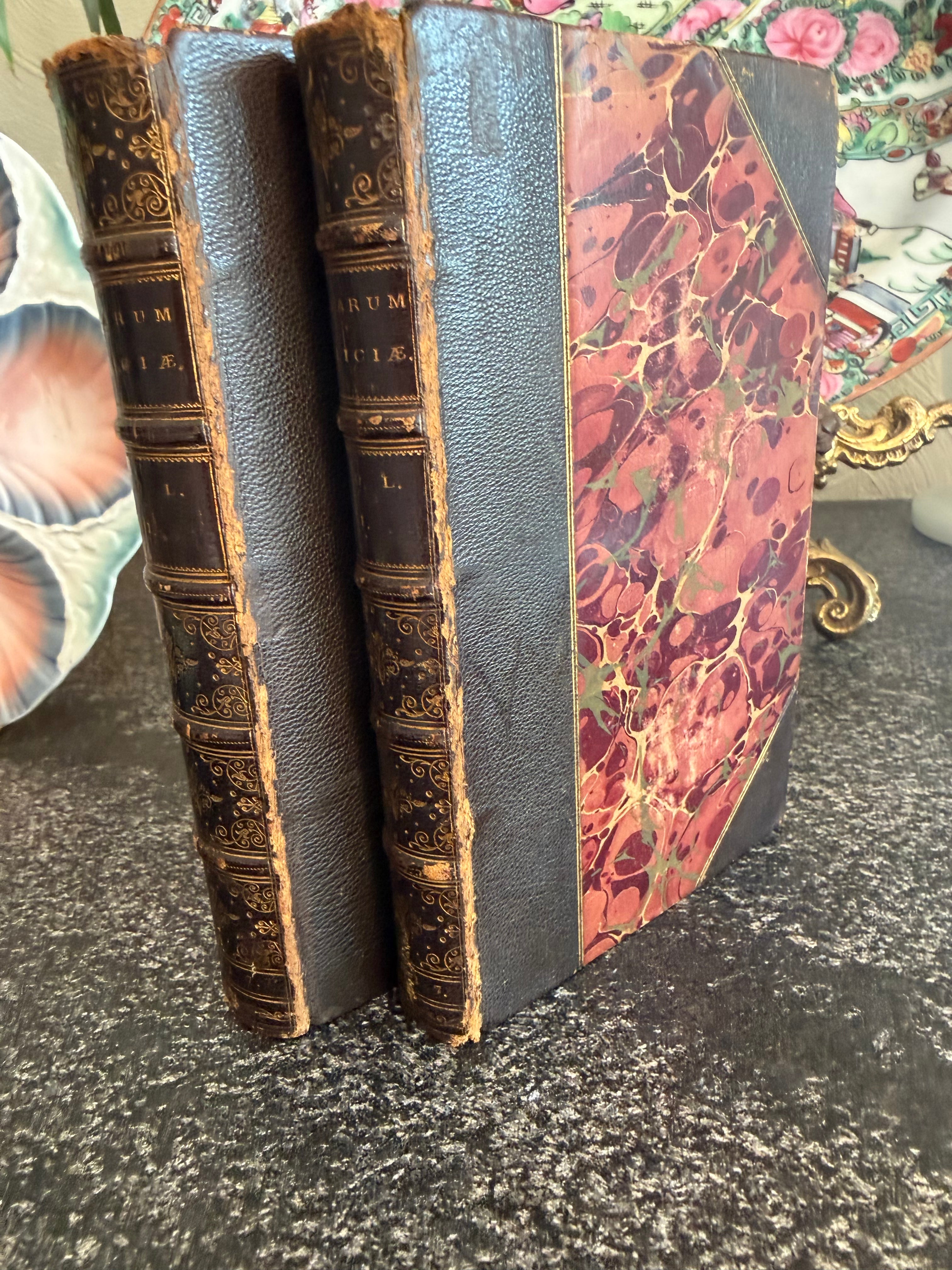 Pair of Antique Leather Books